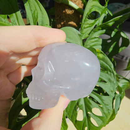 Periwinkle Quartz skull #69B