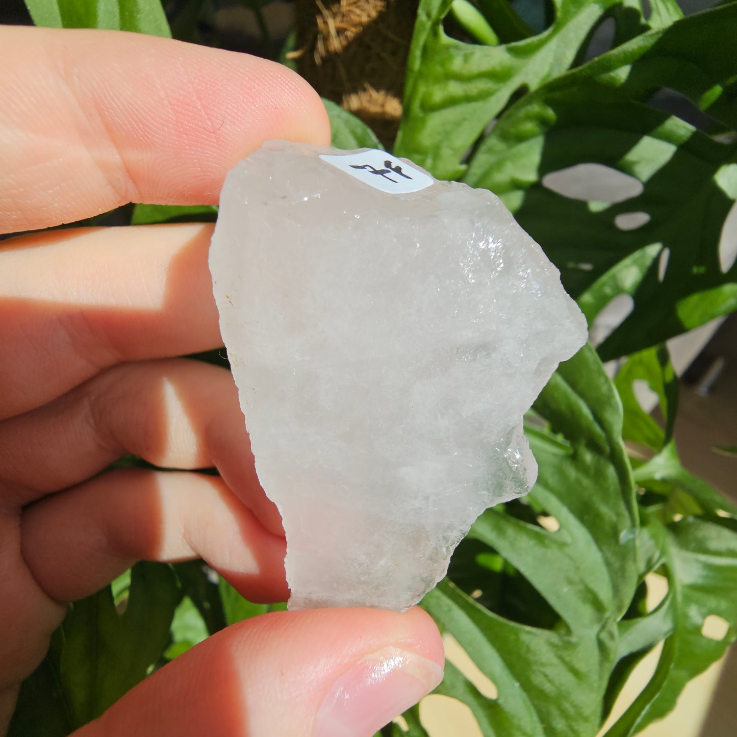 Periwinkle Quartz raw stone #7F