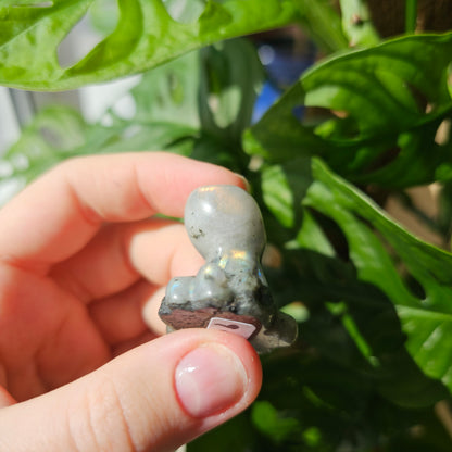 Labradorite Octopus #9C