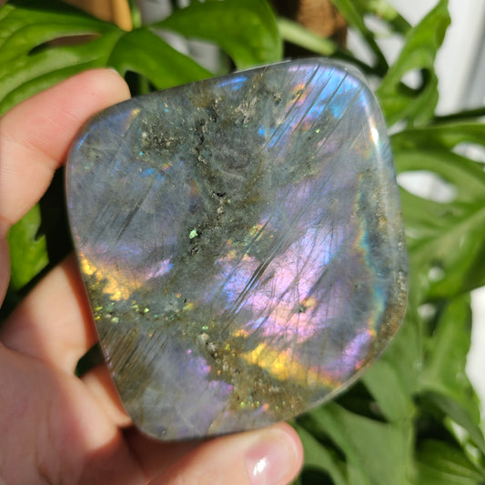 Purple Labradorite freeform #38A