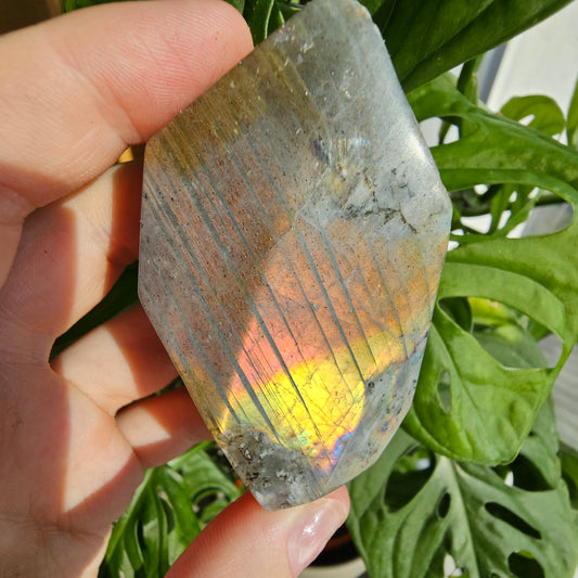 Rainbow Labradorite freeform #23H