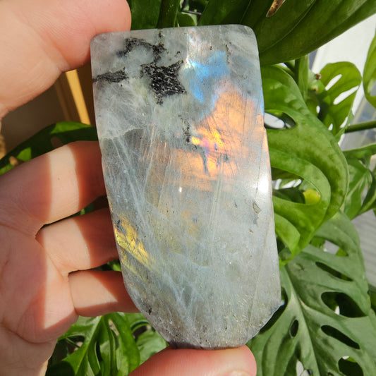 Rainbow Labradorite freeform #28i