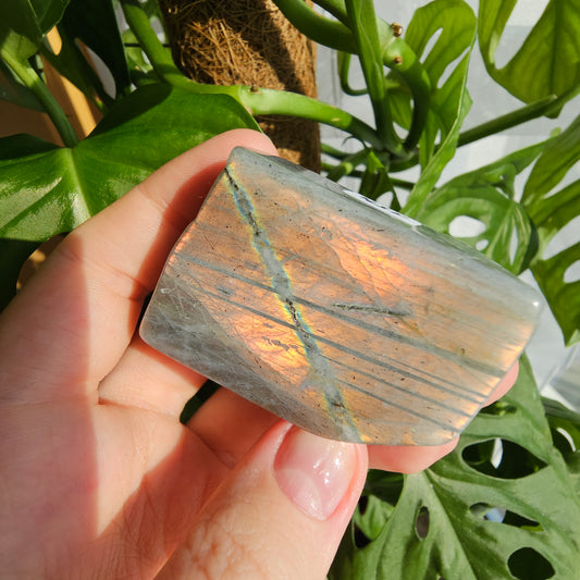 Rainbow Labradorite freeform #15M