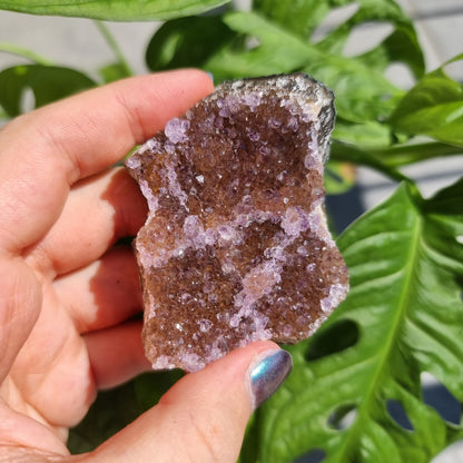 Rainbow Amethyst cluster (pick your own)