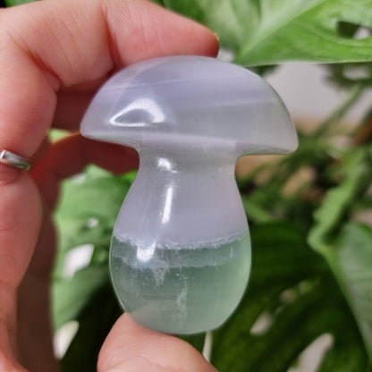 Lavender Fluorite mushroom #2