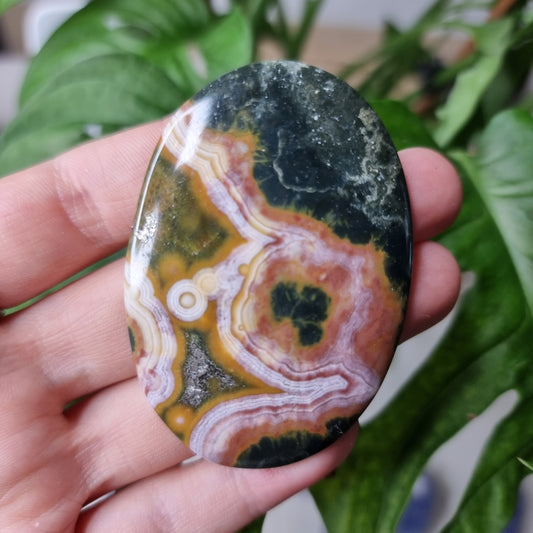 Ocean Jasper cabochon