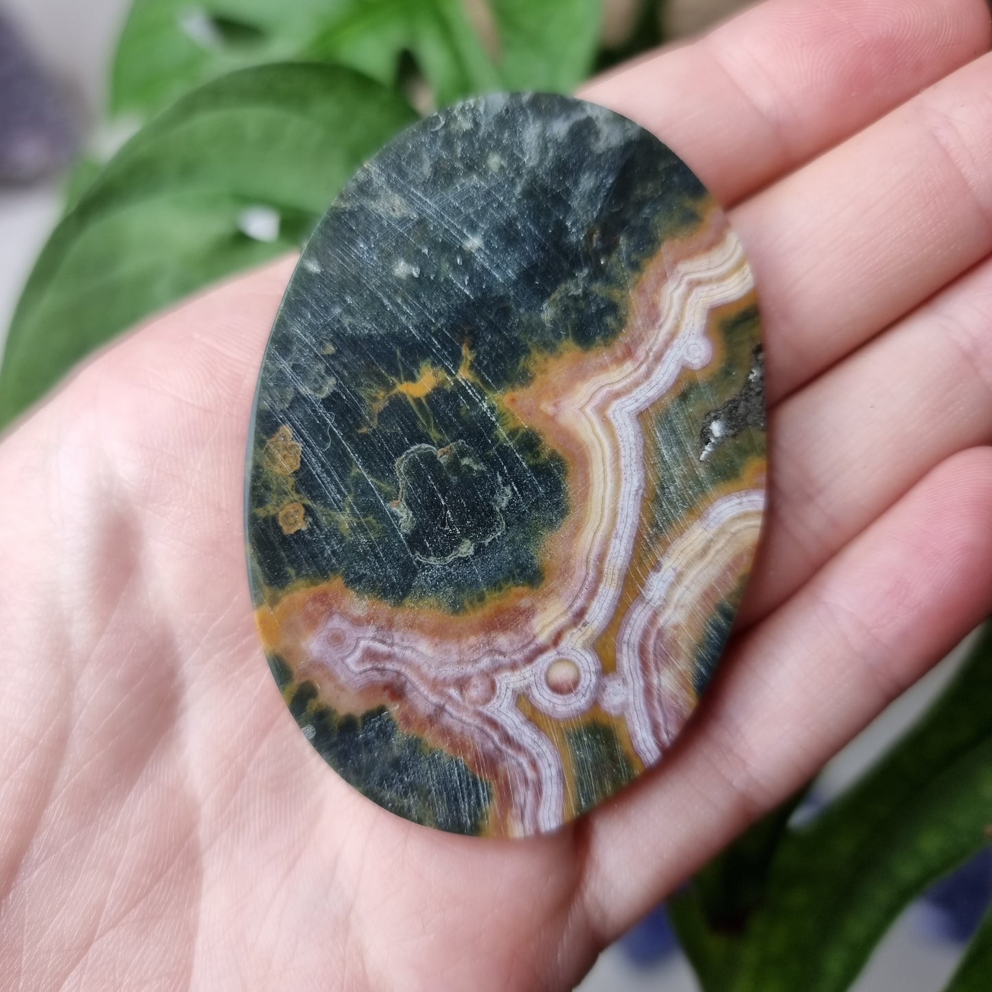 Ozeanjaspis Cabochon