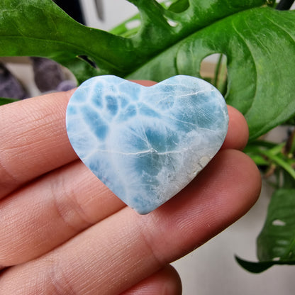 Larimar Herz #48E