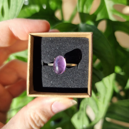 Amethyst Ring #30D (S925)