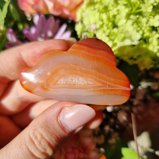 Carnelian cloud