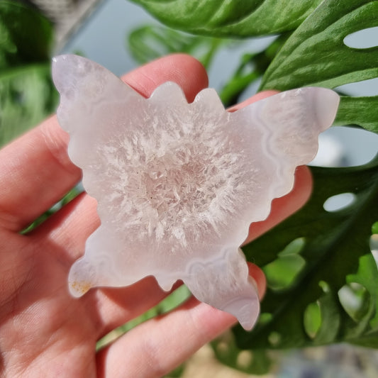 Druzy Agate butterfly