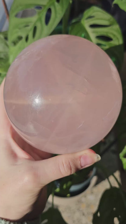 XXL Star Rose Quartz sphere