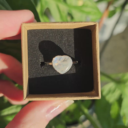 White Labradorite (Trade Name: Rainbow Moonstone) Ring #35A (S925)