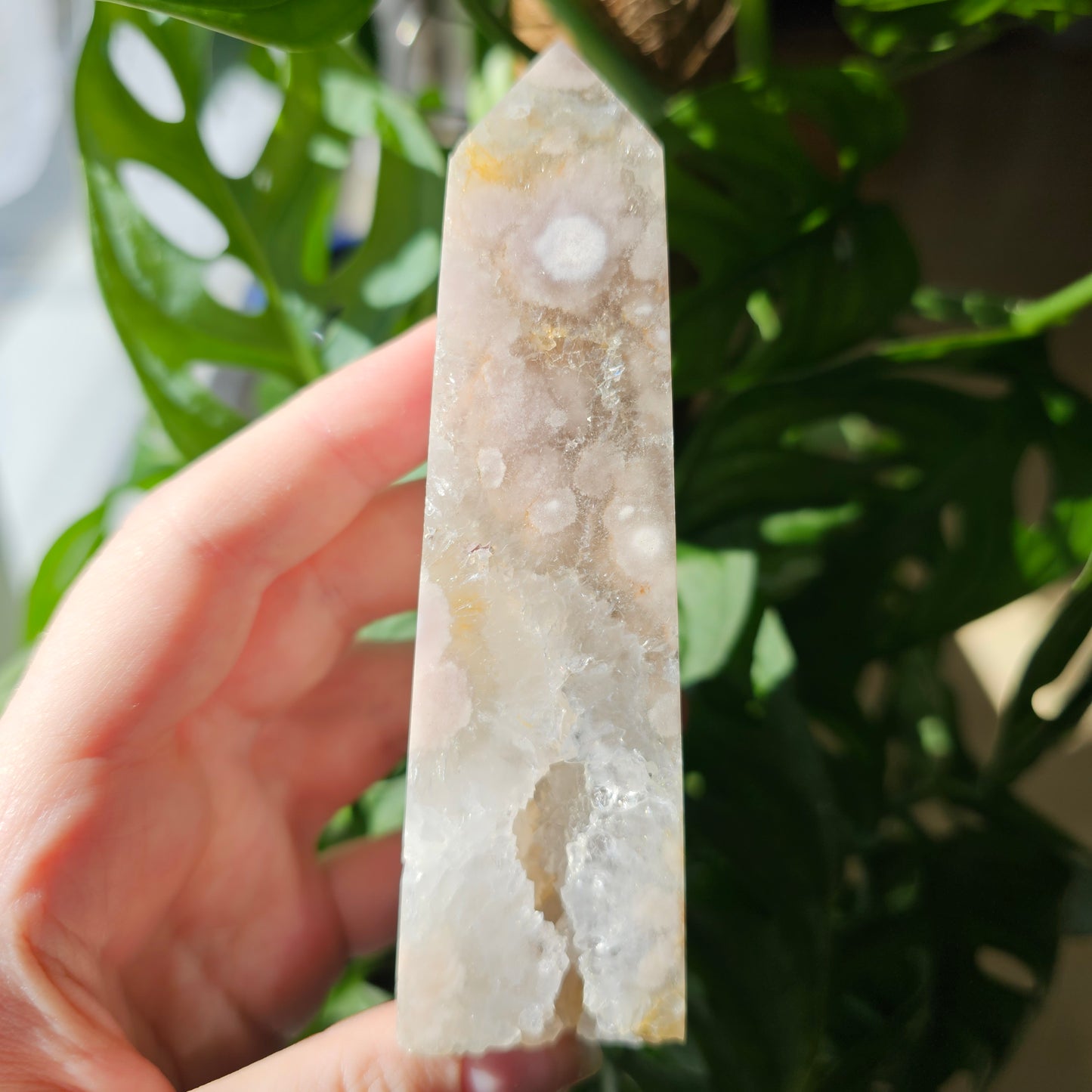 Flower Agate with Quartz obelisk #37B