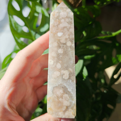 Flower Agate with Quartz obelisk #37B