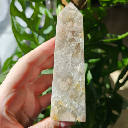 Flower Agate with Quartz obelisk #37B