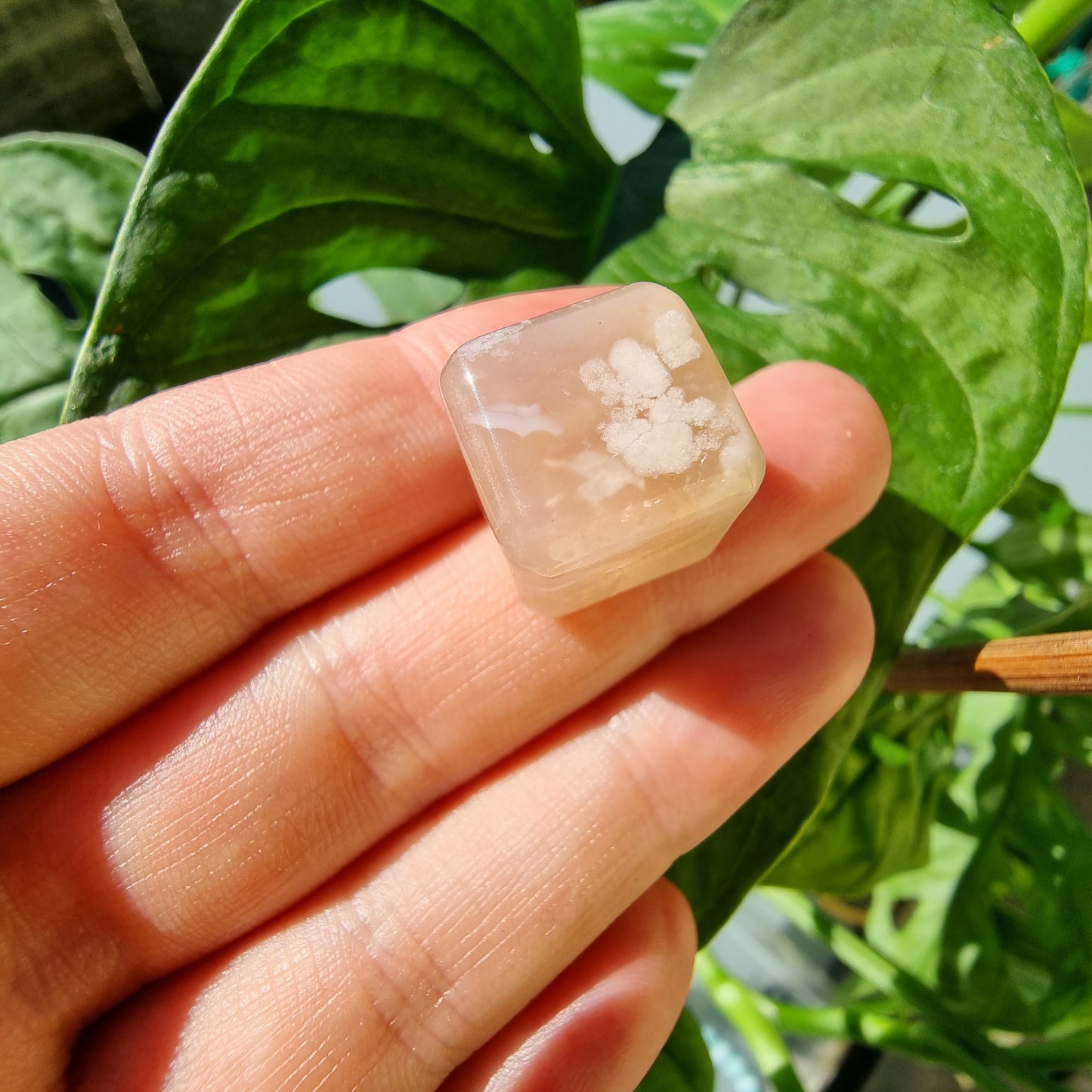 Flower Agate mini cube (intuitive pick)