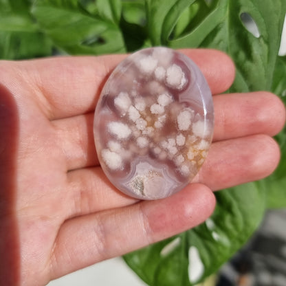 Flower Agate worry stone/thumb stone