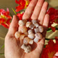 Flower Agate mini mushroom