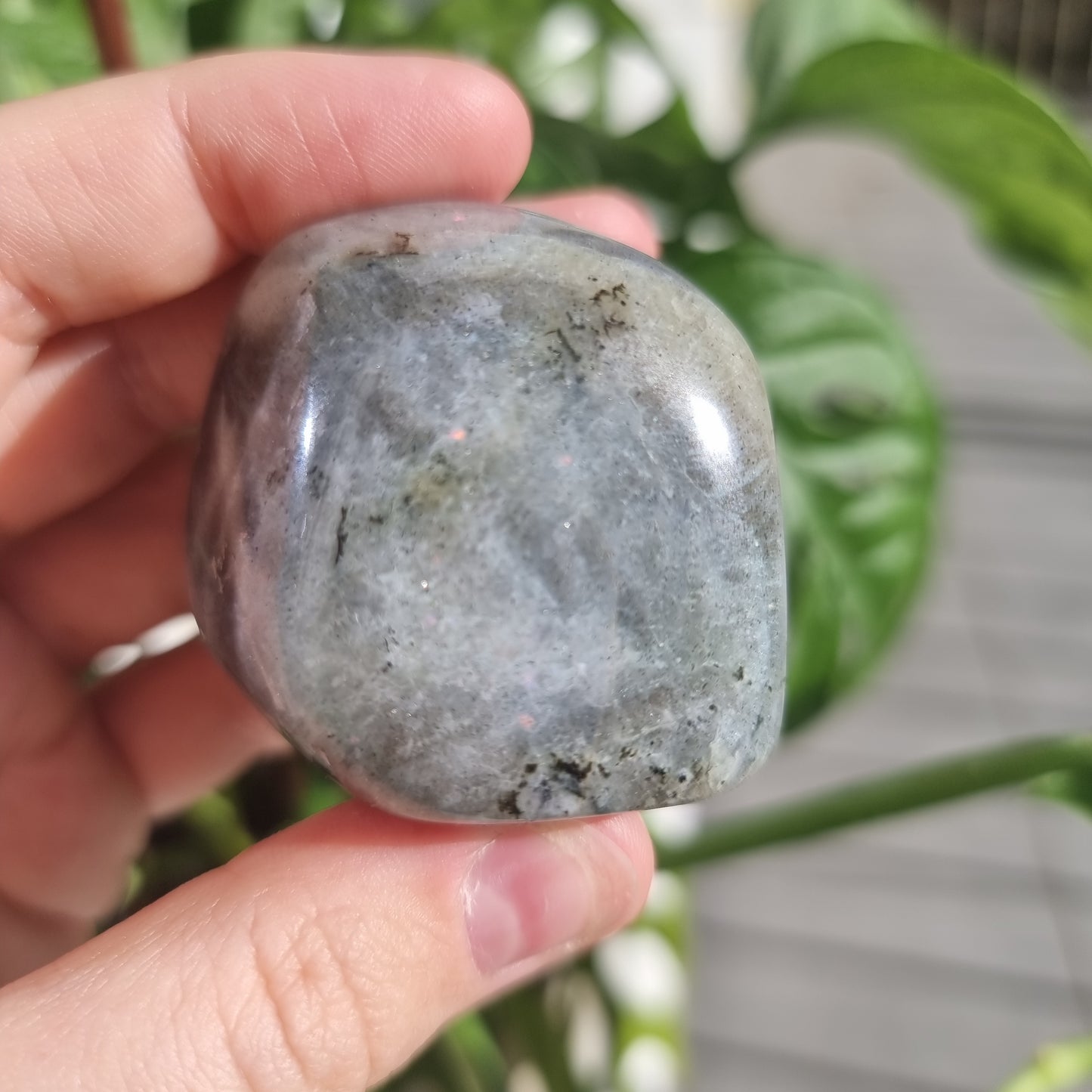 Labradorite freeform No. 30