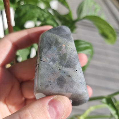 Labradorite freeform No. 28