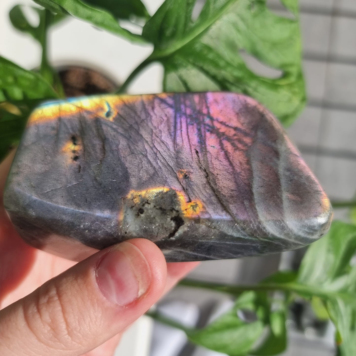 Labradorite freeform No. 16