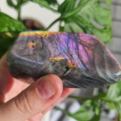 Labradorite freeform No. 16