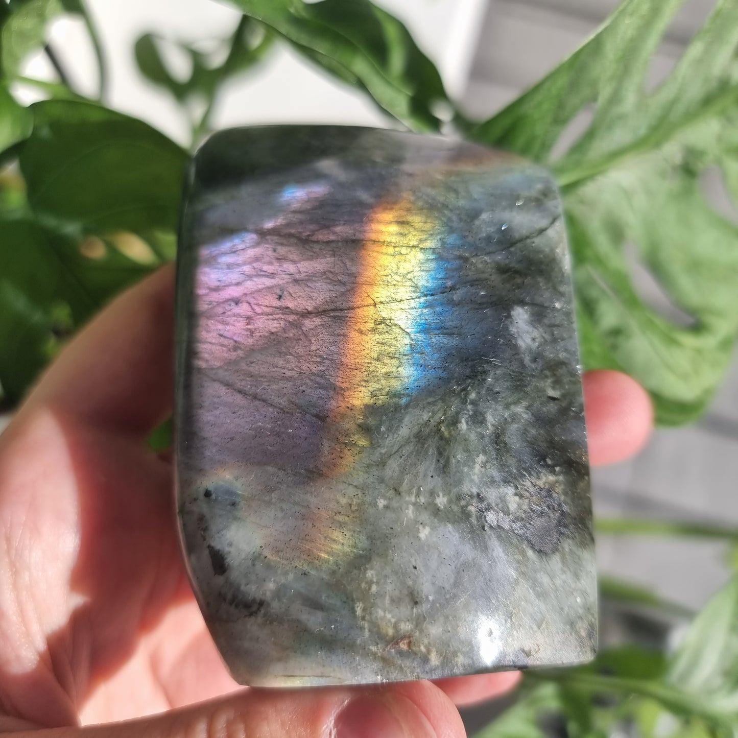 Labradorite freeform No. 16