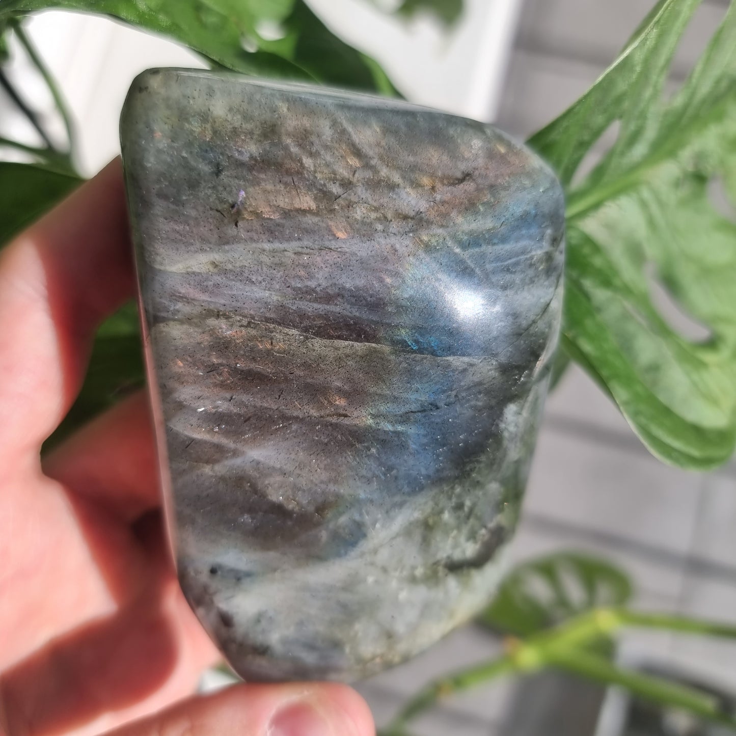 Labradorite freeform No. 16