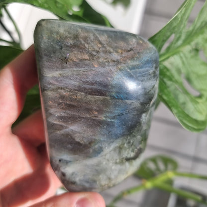 Labradorite freeform No. 16