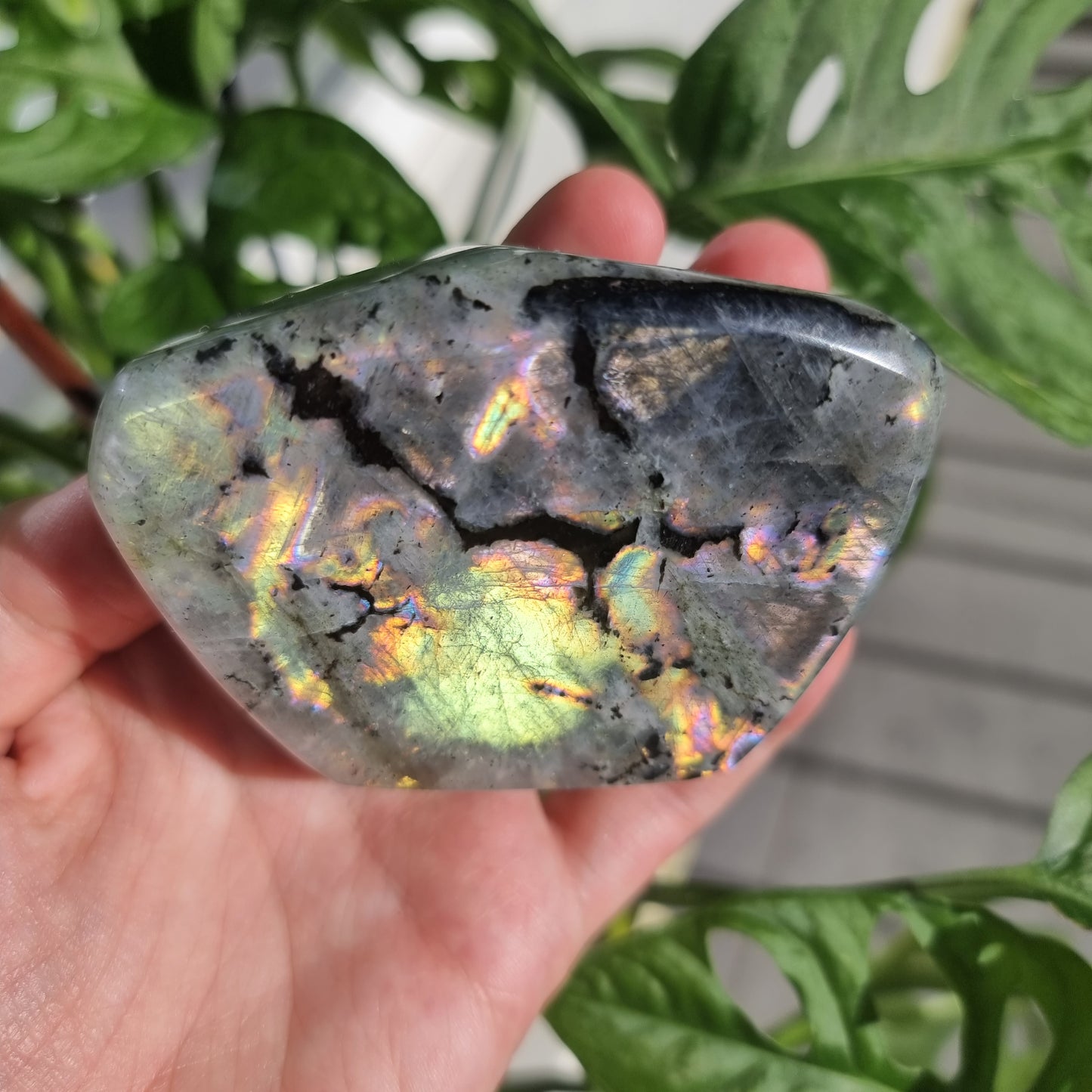 Labradorite freeform No. 13