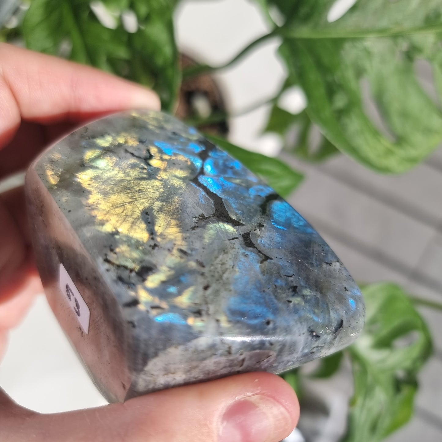 Labradorite freeform No. 13