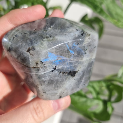 Labradorite freeform No. 13