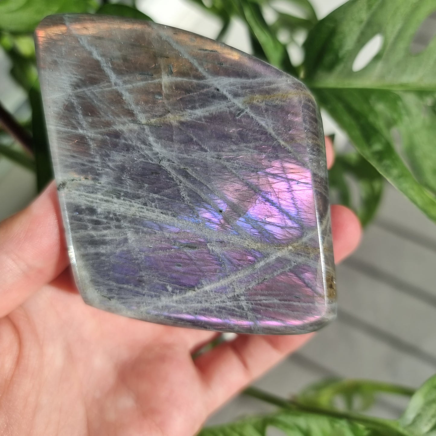 Labradorite freeform No. 15