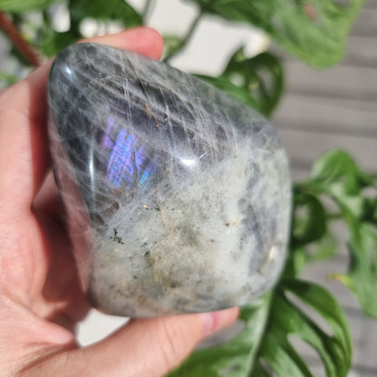 Labradorite freeform No. 8