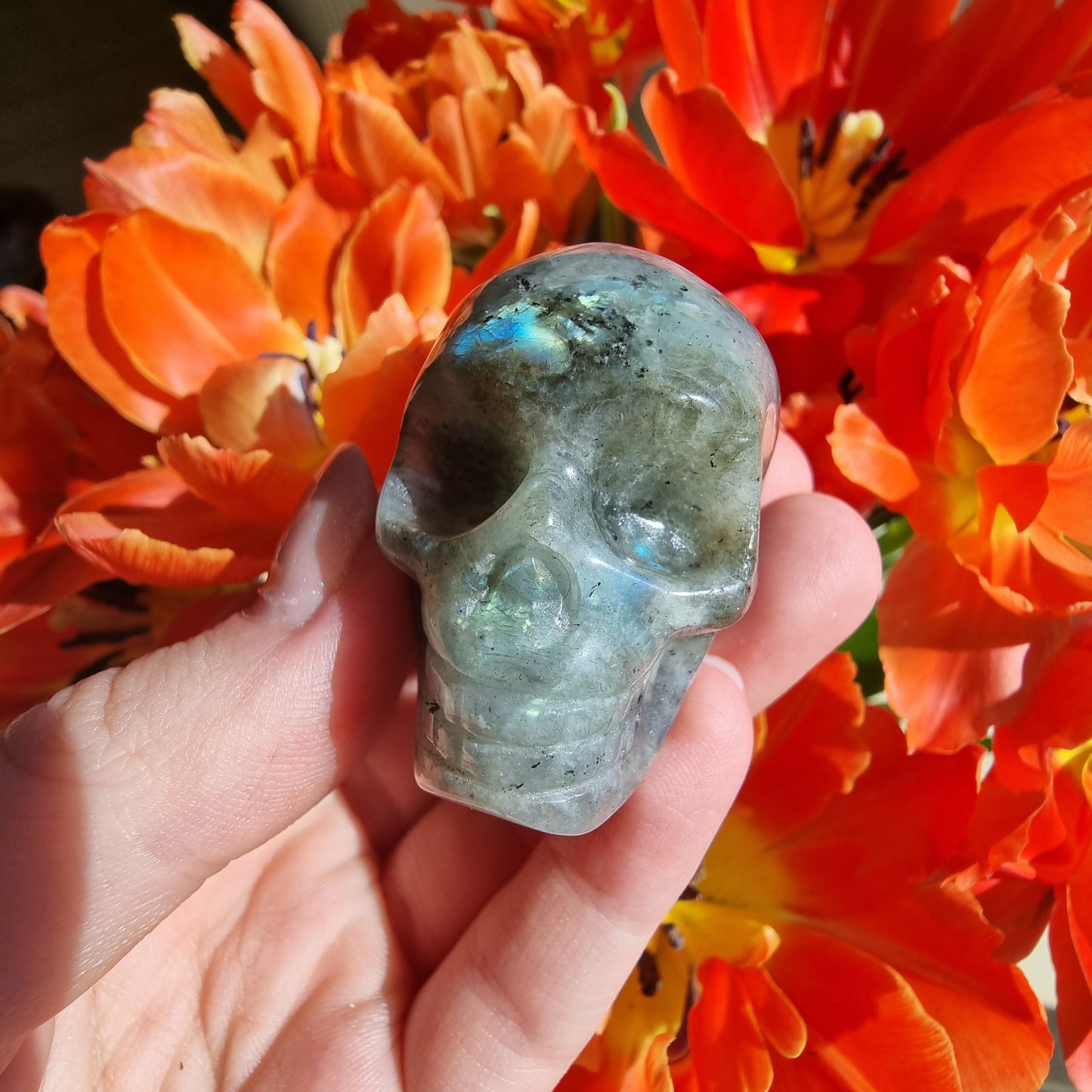 Labradorite skull A