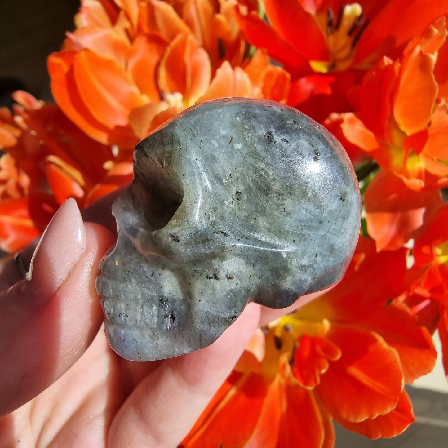 Labradorite skull A