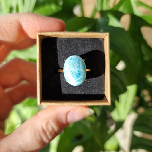 Larimar ring #60B S925