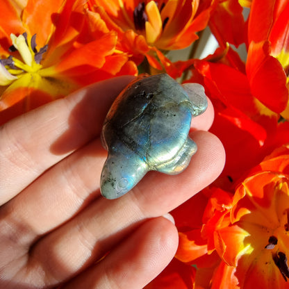 Labradorite mini turtle B