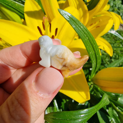 Mini dinosaur carving