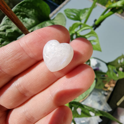 White Labradorite (Trade Name: Rainbow Moonstone) Mini Heart (intuitive selection)