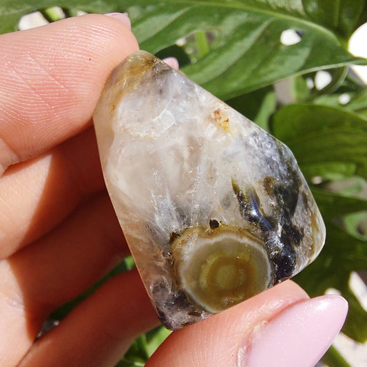 Ocean Jasper mini freeform #3