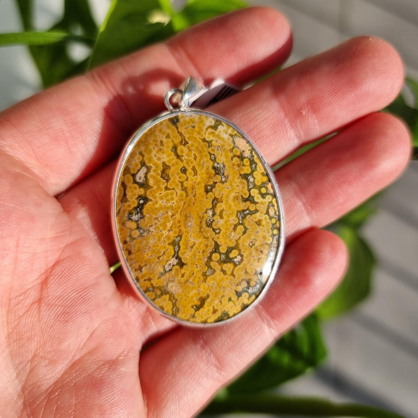 Ocean Jasper pendant #49P