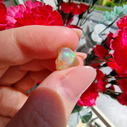 Polished Ethiopian Opal #10G