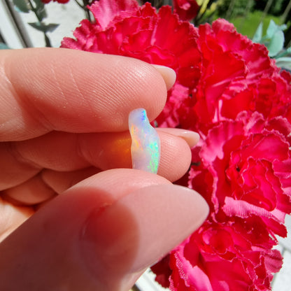 Polished Ethiopian Opal #7P