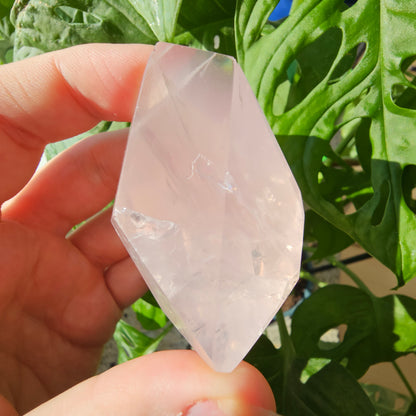 High Quality Rose Quartz freeform #22B