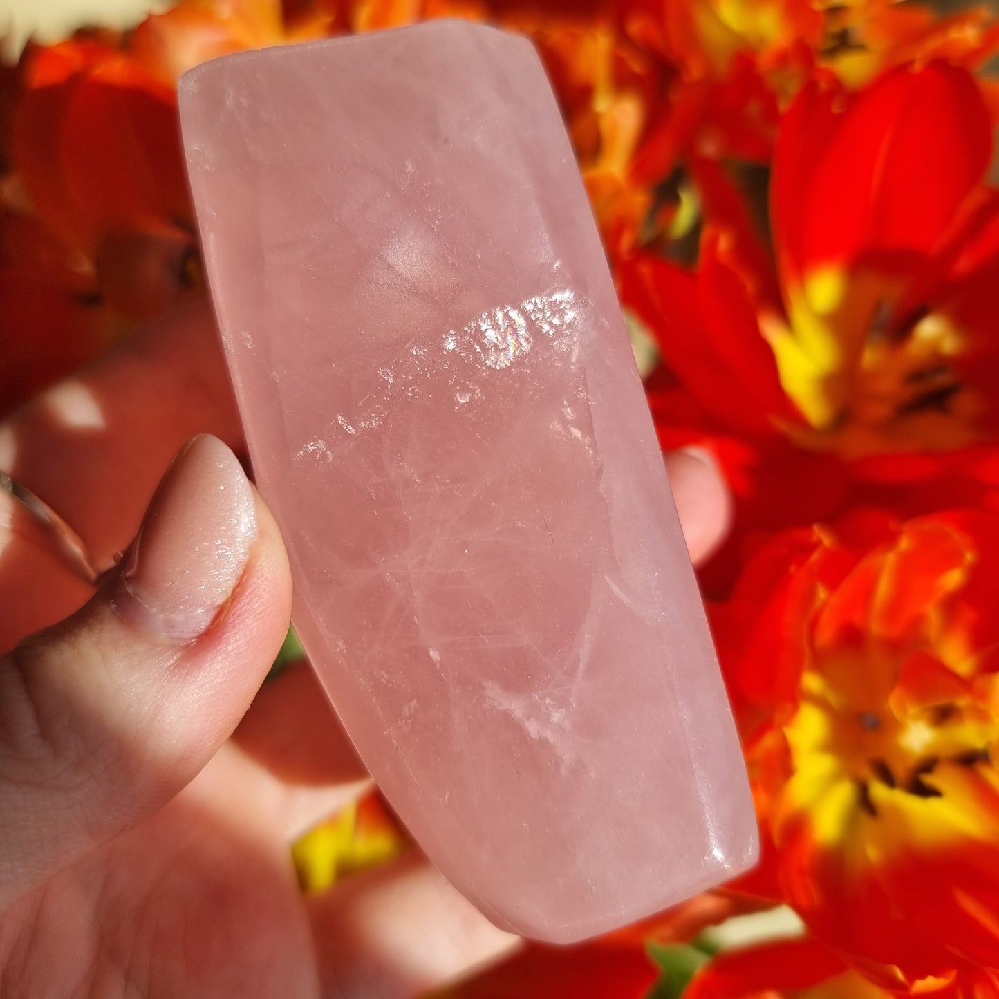 Rose Quartz freeform D