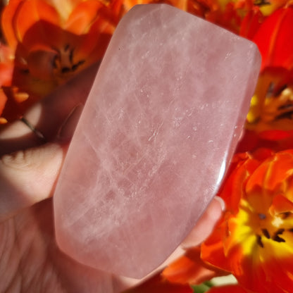 Rose Quartz freeform D