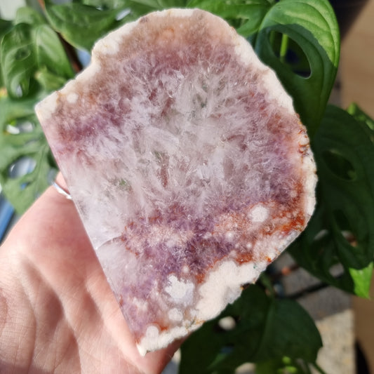 Flower Agate x Amethyst Slab #78B