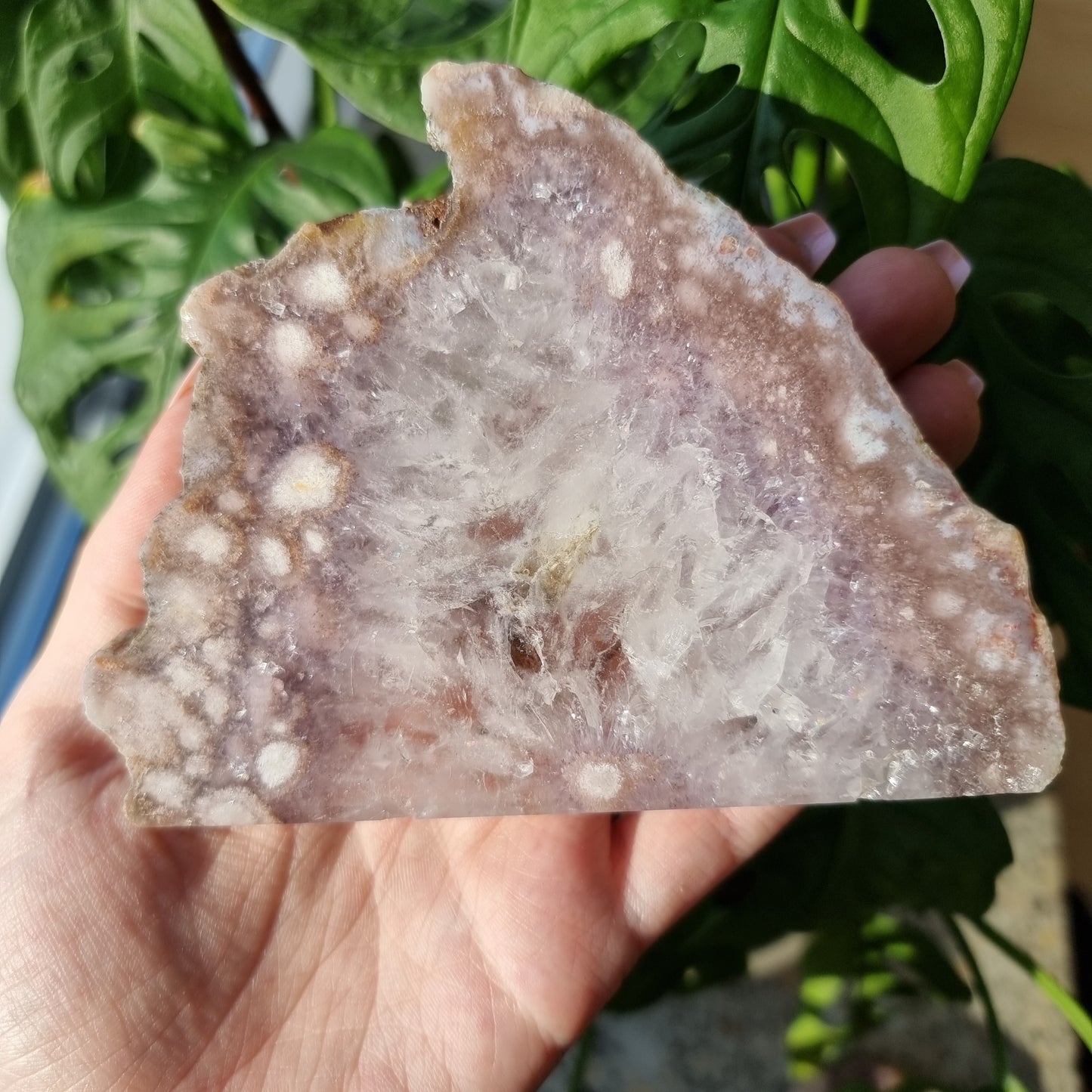 Flower Agate x Amethyst Slab #98A